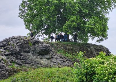 Gotenhaik2025 Auf dem Calver Buehl